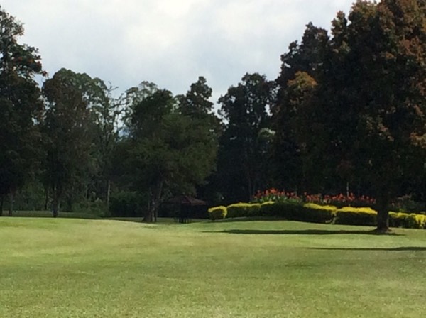IMG_9776